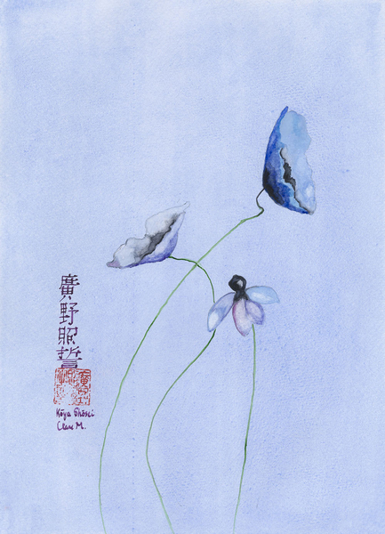 Blue Fraility